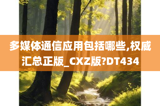 多媒体通信应用包括哪些,权威汇总正版_CXZ版?DT434