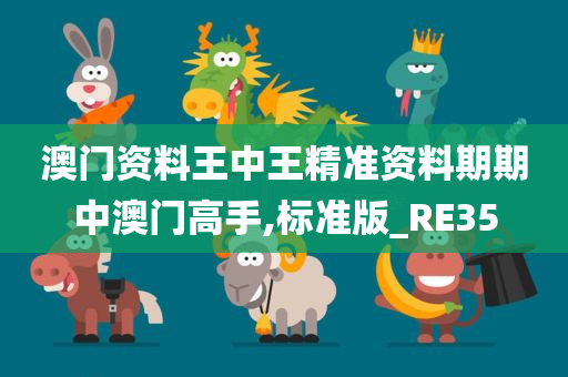 澳门资料王中王精准资料期期中澳门高手,标准版_RE35