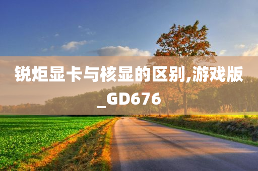 锐炬显卡与核显的区别,游戏版_GD676