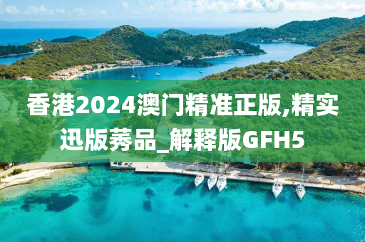 香港2024澳门精准正版,精实迅版莠品_解释版GFH5