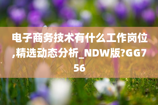 电子商务技术有什么工作岗位,精选动态分析_NDW版?GG756