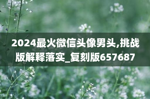 2024最火微信头像男头