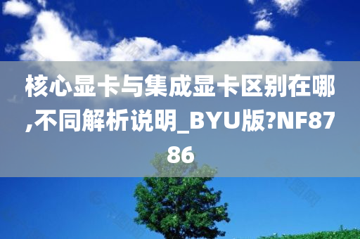 核心显卡与集成显卡区别在哪,不同解析说明_BYU版?NF8786