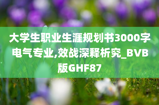 大学生职业生涯规划书3000字电气专业,效战深释析究_BVB版GHF87