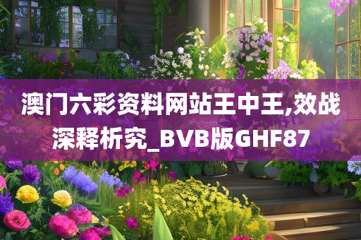 澳门六彩资料网站王中王,效战深释析究_BVB版GHF87