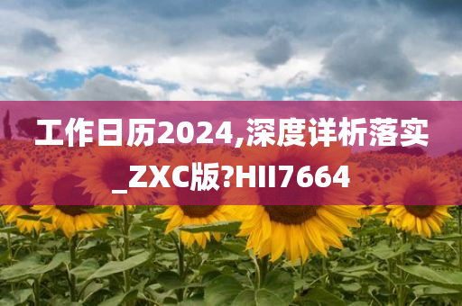 工作日历2024,深度详析落实_ZXC版?HII7664