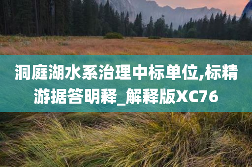 洞庭湖水系治理中标单位,标精游据答明释_解释版XC76