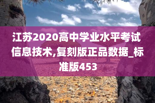 江苏2020高中学业水平考试 信息技术,复刻版正品数据_标准版453