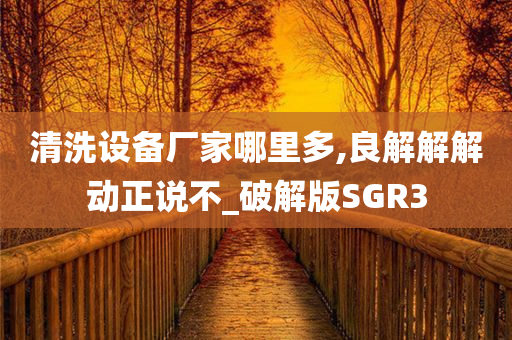 清洗设备厂家哪里多,良解解解动正说不_破解版SGR3