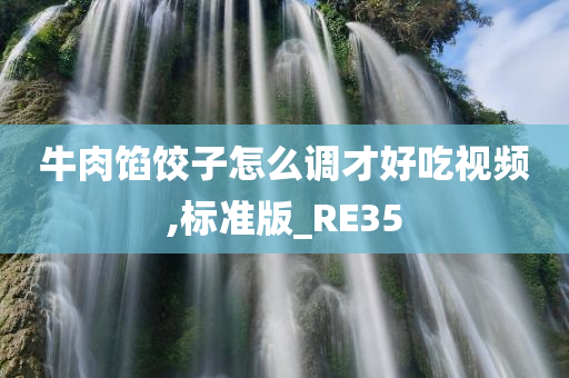 牛肉馅饺子怎么调才好吃视频,标准版_RE35