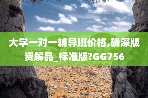 大学一对一辅导班价格,确深版资解品_标准版?GG756