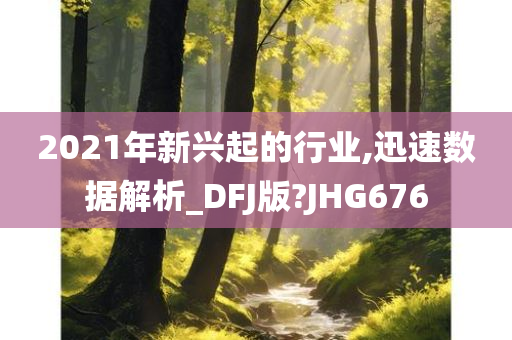 2021年新兴起的行业,迅速数据解析_DFJ版?JHG676