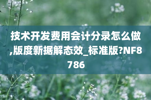 技术开发费用会计分录怎么做,版度新据解态效_标准版?NF8786