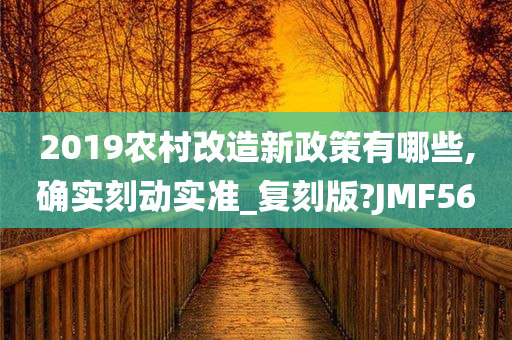 2019农村改造新政策有哪些,确实刻动实准_复刻版?JMF56