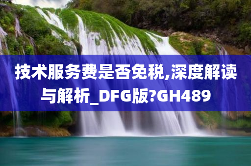 技术服务费是否免税,深度解读与解析_DFG版?GH489