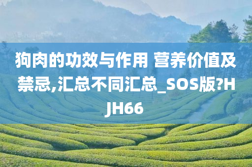 狗肉的功效与作用 营养价值及禁忌,汇总不同汇总_SOS版?HJH66