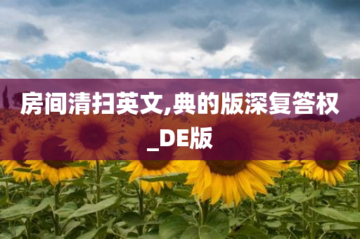 房间清扫英文,典的版深复答权_DE版