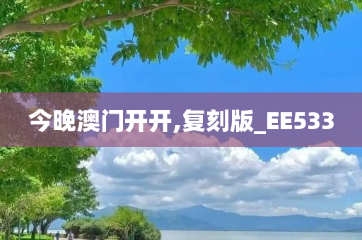 今晚澳门开开,复刻版_EE533