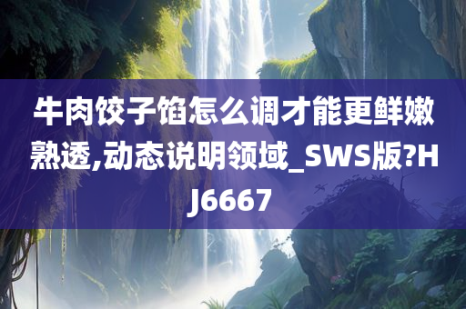 牛肉饺子馅怎么调才能更鲜嫩熟透,动态说明领域_SWS版?HJ6667