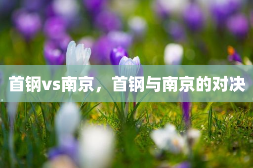 首钢vs南京，首钢与南京的对决