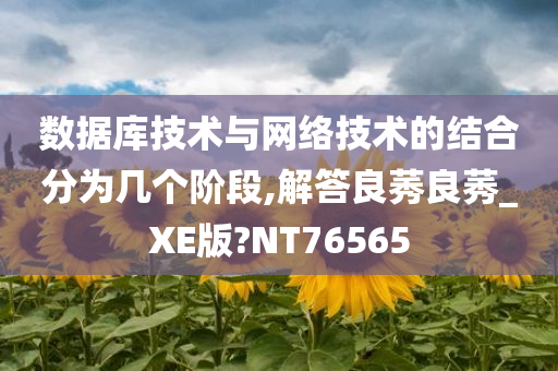 数据库技术与网络技术的结合分为几个阶段,解答良莠良莠_XE版?NT76565