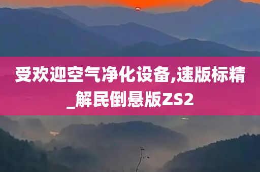 受欢迎空气净化设备,速版标精_解民倒悬版ZS2