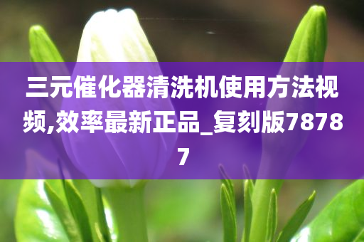 三元催化器清洗机使用方法视频,效率最新正品_复刻版78787