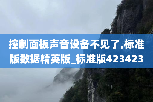 控制面板声音设备不见了,标准版数据精英版_标准版423423