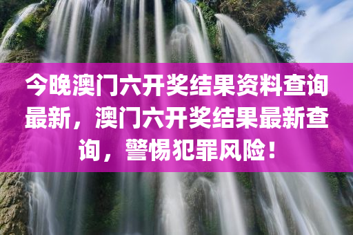 今晚澳门六开奖结果资料查询最新，澳门六开奖结果最新查询，警惕犯罪风险！