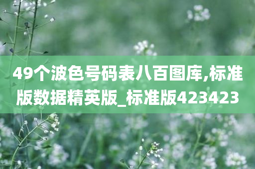 49个波色号码表八百图库,标准版数据精英版_标准版423423