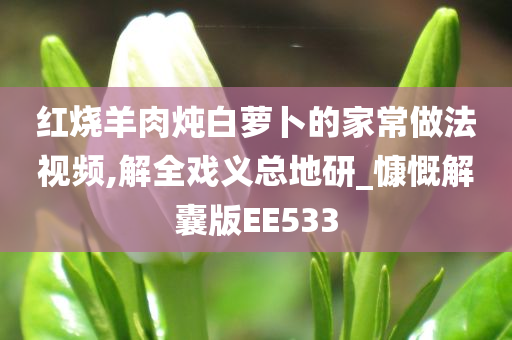 红烧羊肉炖白萝卜的家常做法视频,解全戏义总地研_慷慨解囊版EE533