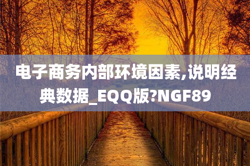 电子商务内部环境因素,说明经典数据_EQQ版?NGF89