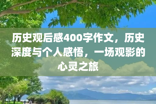 历史观后感400字作文