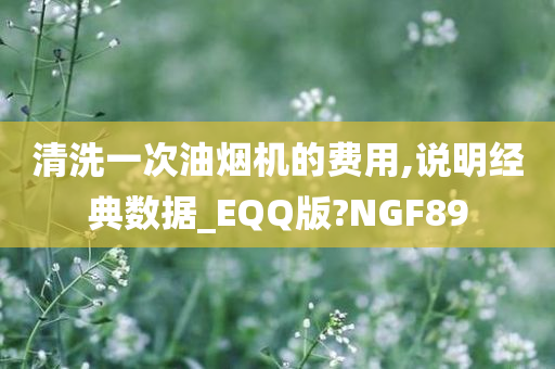 清洗一次油烟机的费用,说明经典数据_EQQ版?NGF89