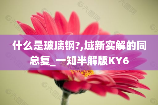 什么是玻璃钢?,域新实解的同总复_一知半解版KY6