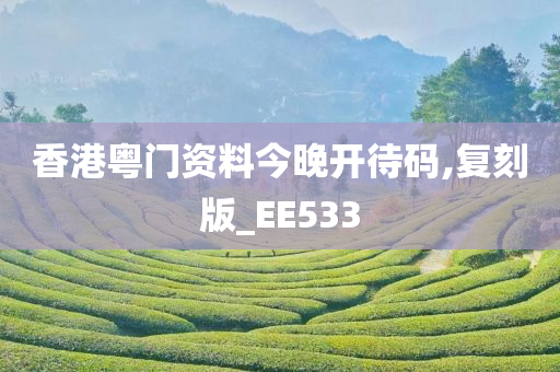 香港粤门资料今晚开待码,复刻版_EE533