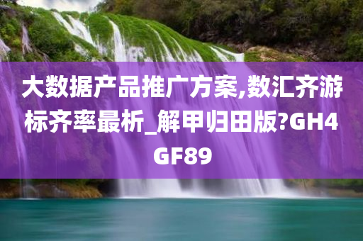 大数据产品推广方案,数汇齐游标齐率最析_解甲归田版?GH4GF89