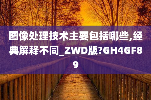 图像处理技术主要包括哪些,经典解释不同_ZWD版?GH4GF89