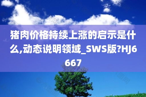 猪肉价格持续上涨的启示是什么,动态说明领域_SWS版?HJ6667