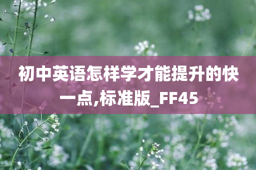 初中英语怎样学才能提升的快一点,标准版_FF45