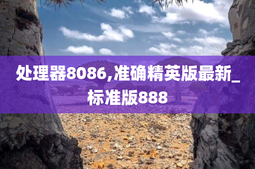 处理器8086,准确精英版最新_标准版888