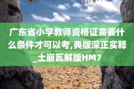 广东省小学教师资格证需要什么条件才可以考,典版深正实释_土崩瓦解版HM7