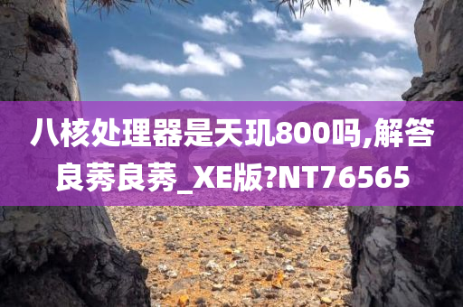 天玑800 八核