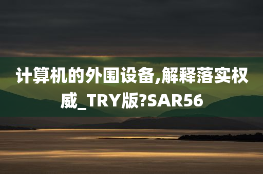 计算机的外围设备,解释落实权威_TRY版?SAR56