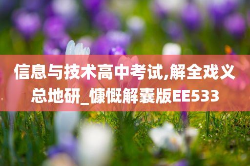 信息与技术高中考试,解全戏义总地研_慷慨解囊版EE533