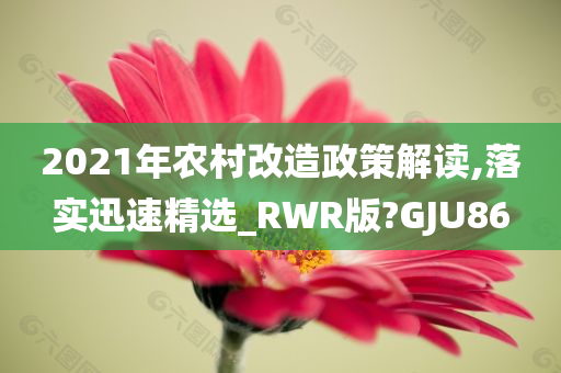 2021年农村改造政策解读,落实迅速精选_RWR版?GJU86