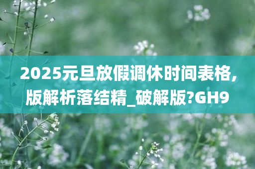 2025元旦放假调休时间表格,版解析落结精_破解版?GH9