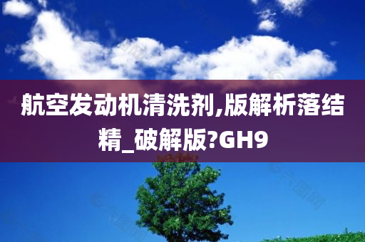 航空发动机清洗剂,版解析落结精_破解版?GH9