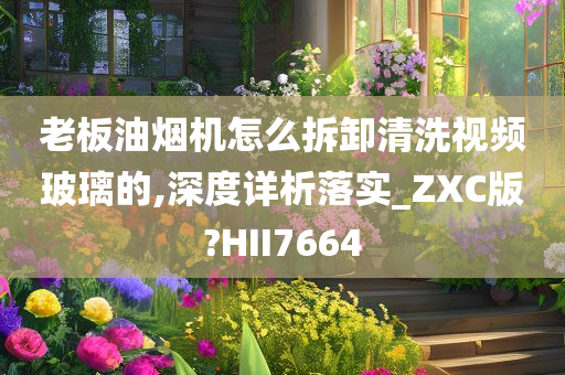 老板油烟机怎么拆卸清洗视频玻璃的,深度详析落实_ZXC版?HII7664