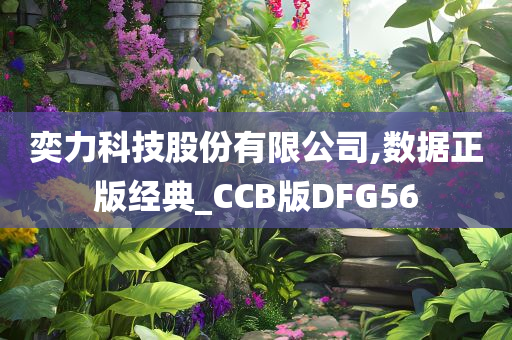 奕力科技股份有限公司,数据正版经典_CCB版DFG56